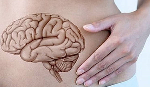 Intestino secondo cervello perchè si dice così?